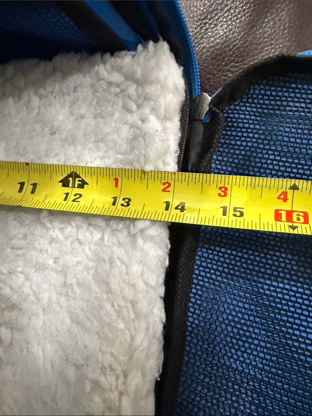Blue Small Pet Carrier with Gray Straps - Picture 6 of 13